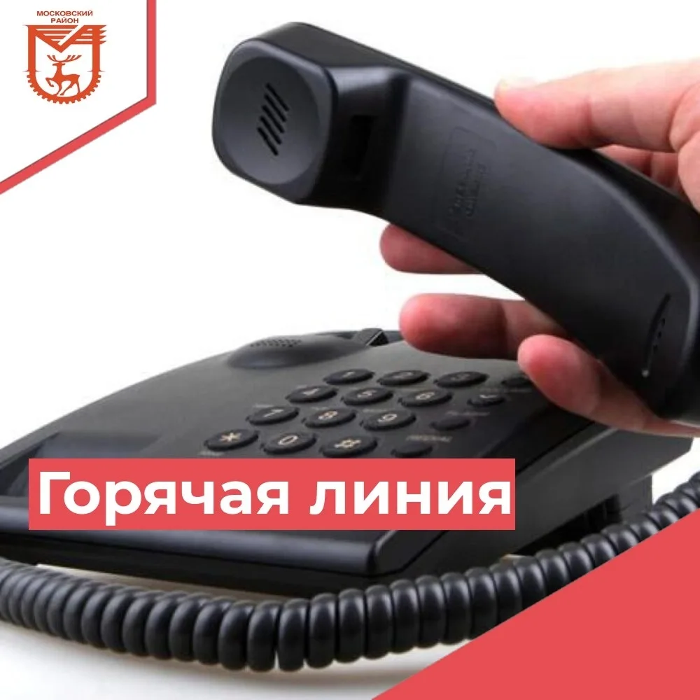 «Горячая линия» по теме «Документы, необходимые для получения разрешения на выпиловку д...