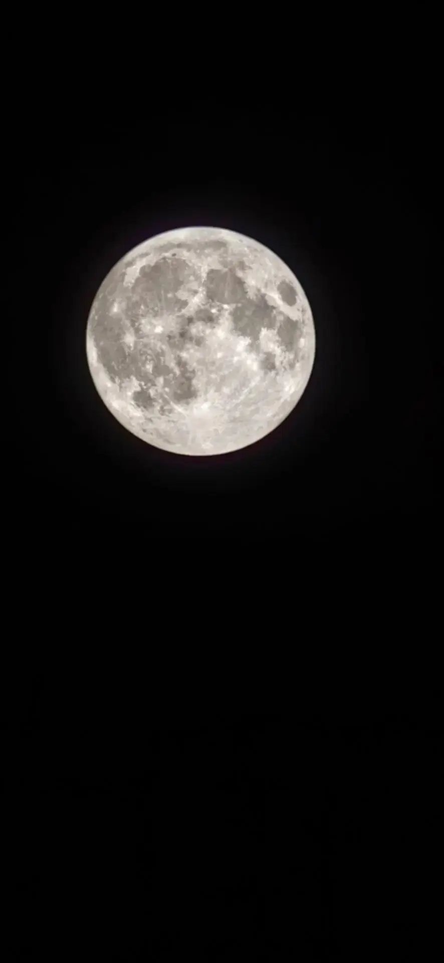 Завораживающее зрелище😊🌑