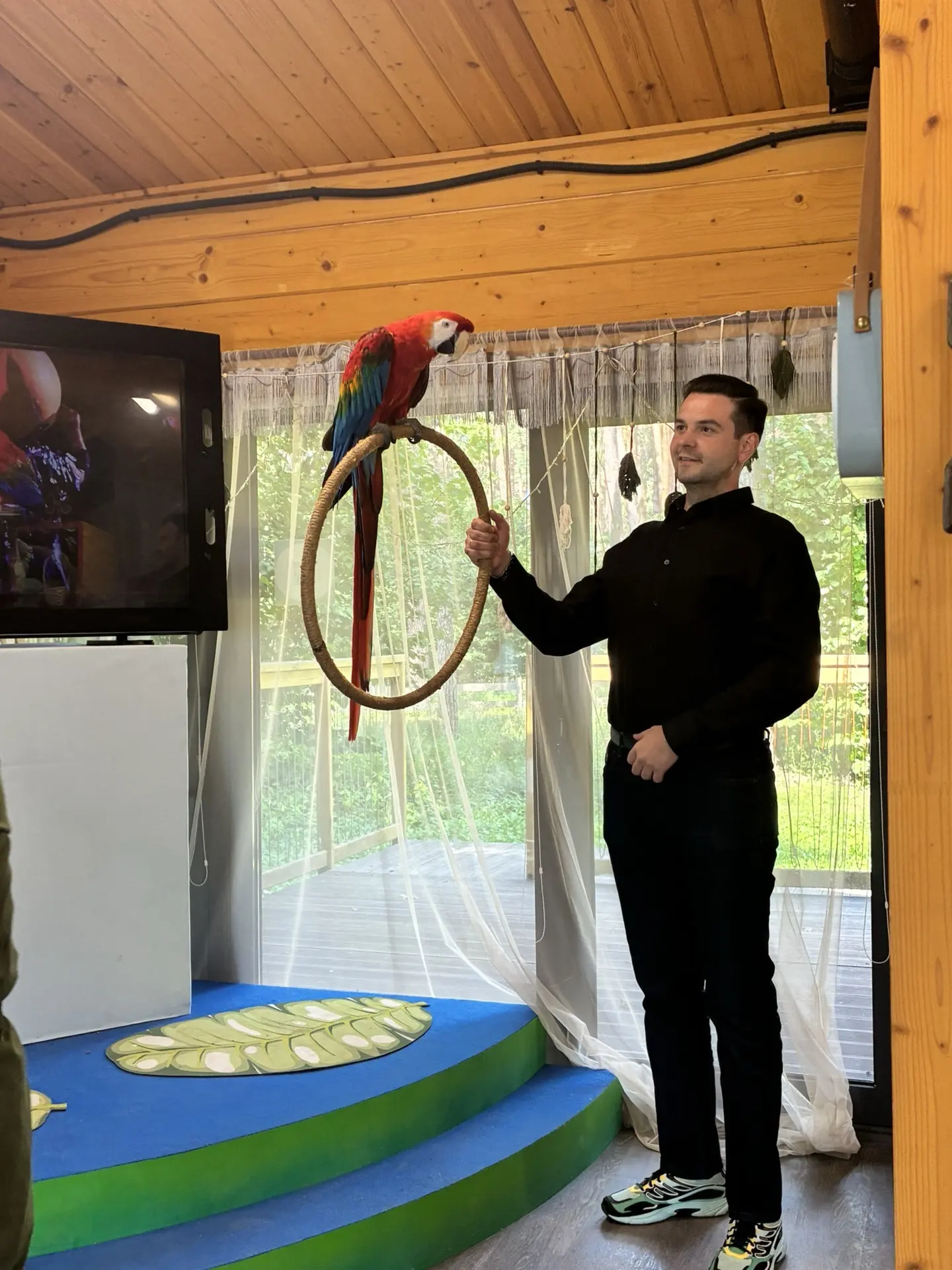 🦜 День флага в Зоотерии! 🇷🇺