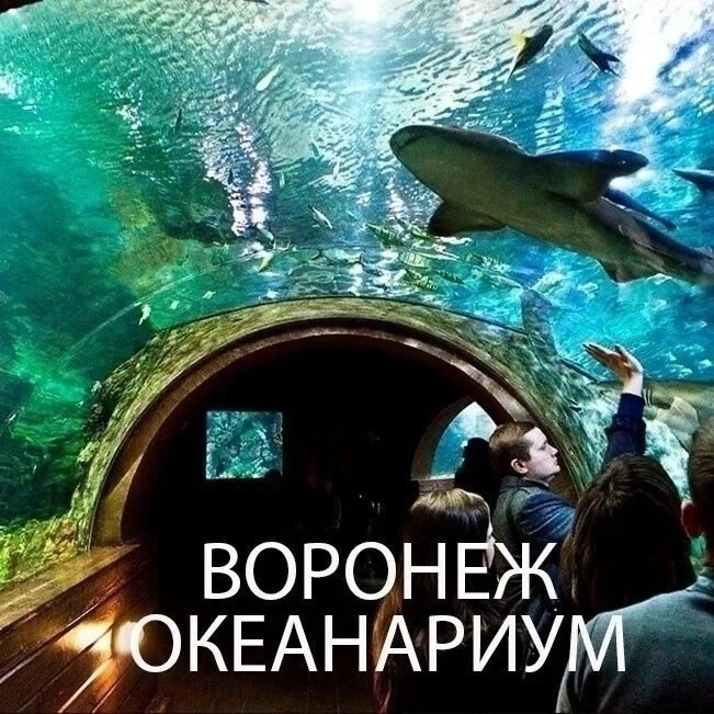 🐠 Дорогие друзья, приглашаем вас на экскурсию в Воронеж+Океанариум 4 июля и 15 августа! 🐠
 
Нас жд