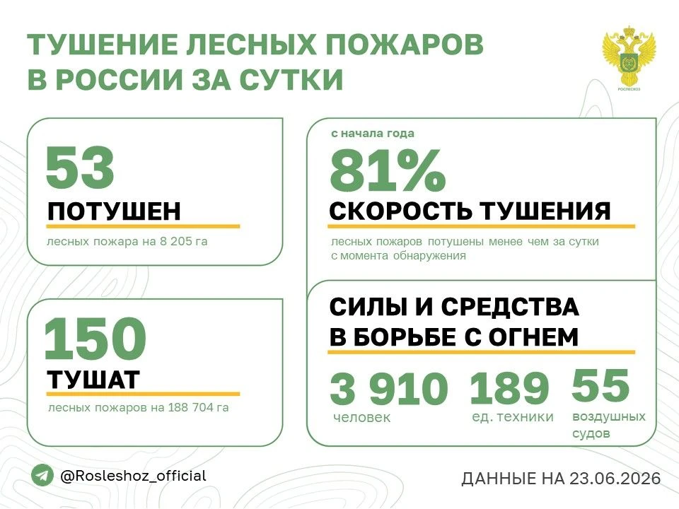 🟢 За прошедшие сутки в 15 регионах России потушили 53 лесных пожара. 
Продолжается тушение 150 лесн
