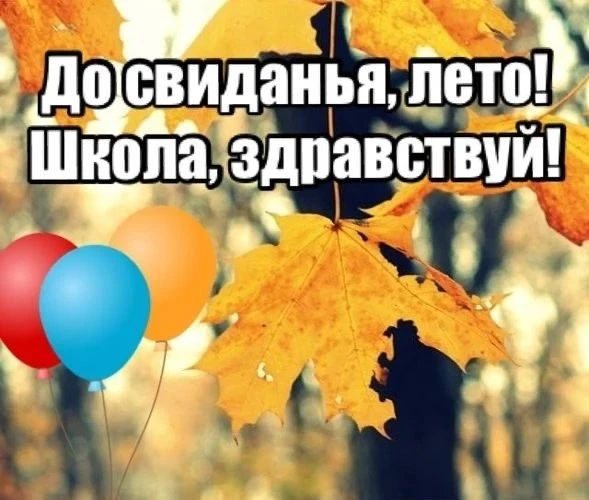 Дорогие друзья!