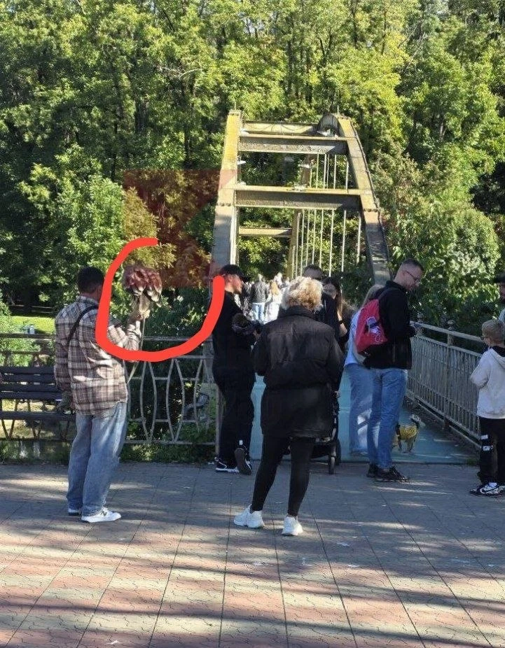 На пешеходном мосту в Горячем Ключе предлагают сфотографироваться с животными
