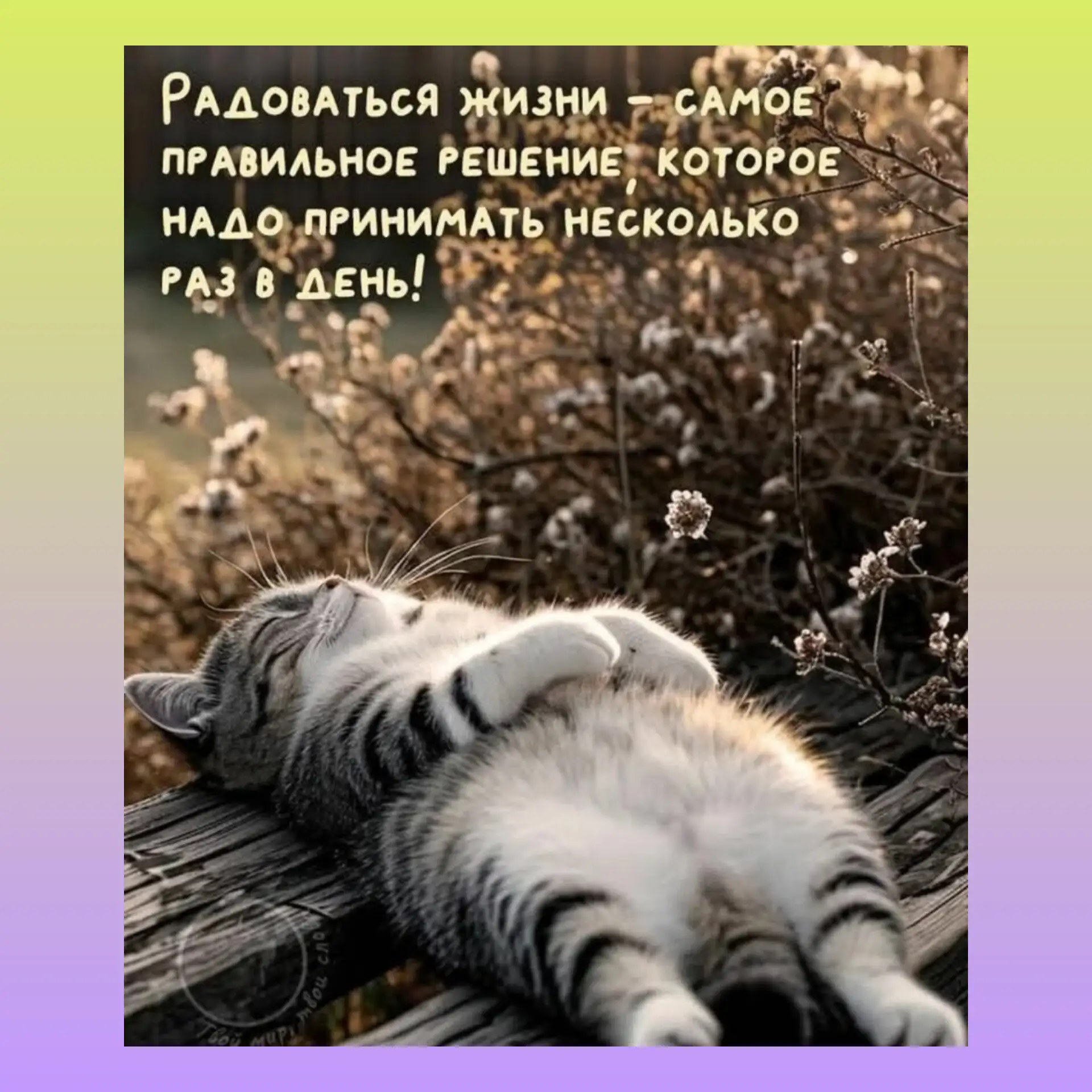 Доброе утро мир)