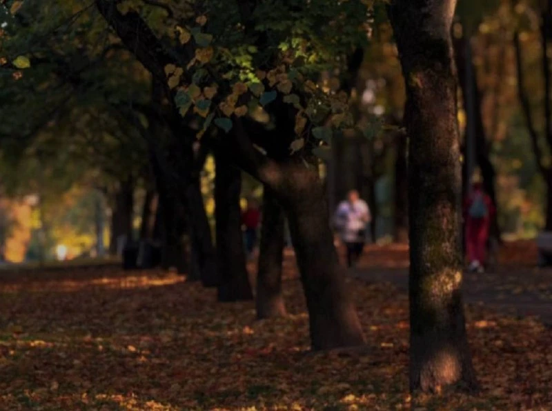 🍂 Осень неспешно гуляет по Чертаново