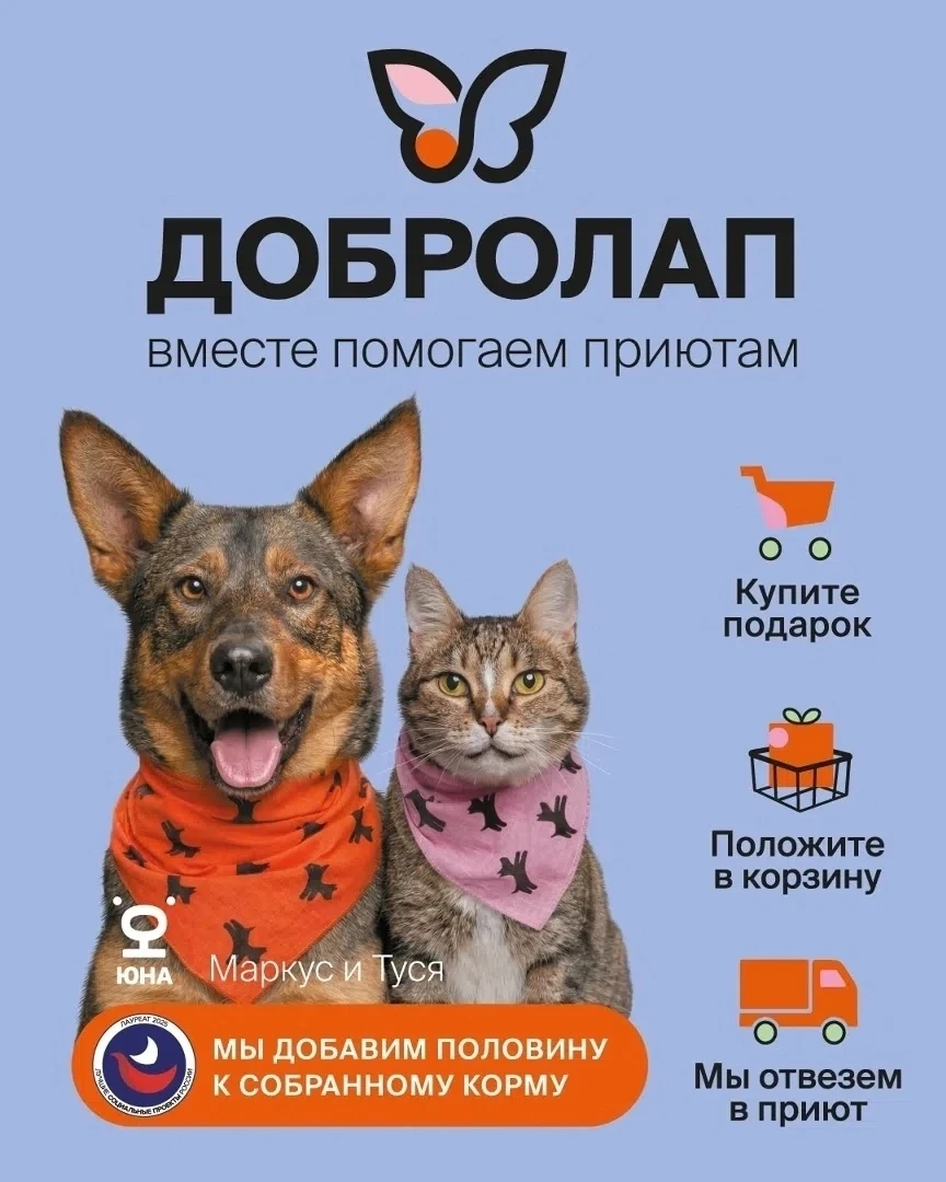 Друзья, у нас замечательная новость — стартовала юбилейная, 20-я благотворительная акци...
