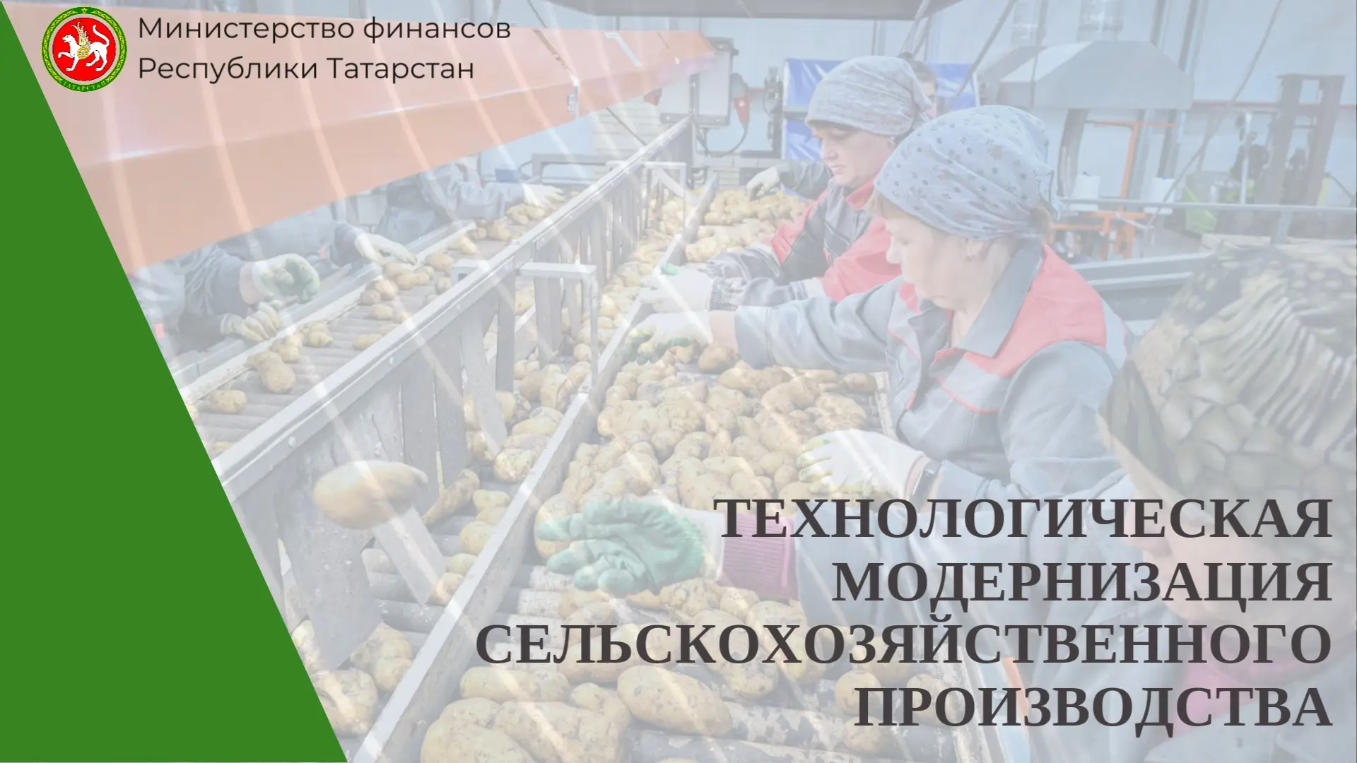 🚜 В Татарстане на технологическую модернизацию сельскохозяйственного производства выделят более 3 м