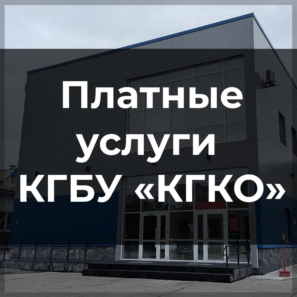 Оцифровка, копирование и консультации: сколько стоят услуги КГБУ «КГКО» 📁💬