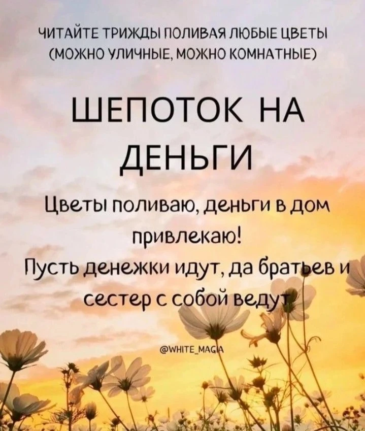 Женская Территория - https://max.ru/id504034090067_biz