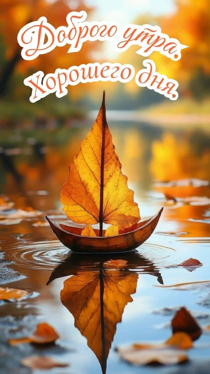 Доброе утро!🍁🎃