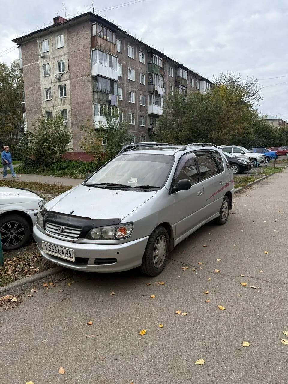 🚗 Toyota Ipsum — 1996 год — Барнаул