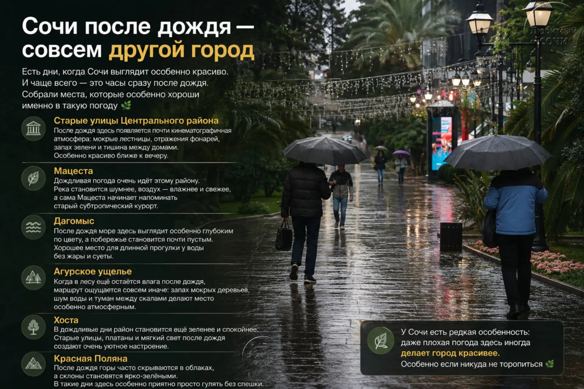 Сочи после дождя — совсем другой город