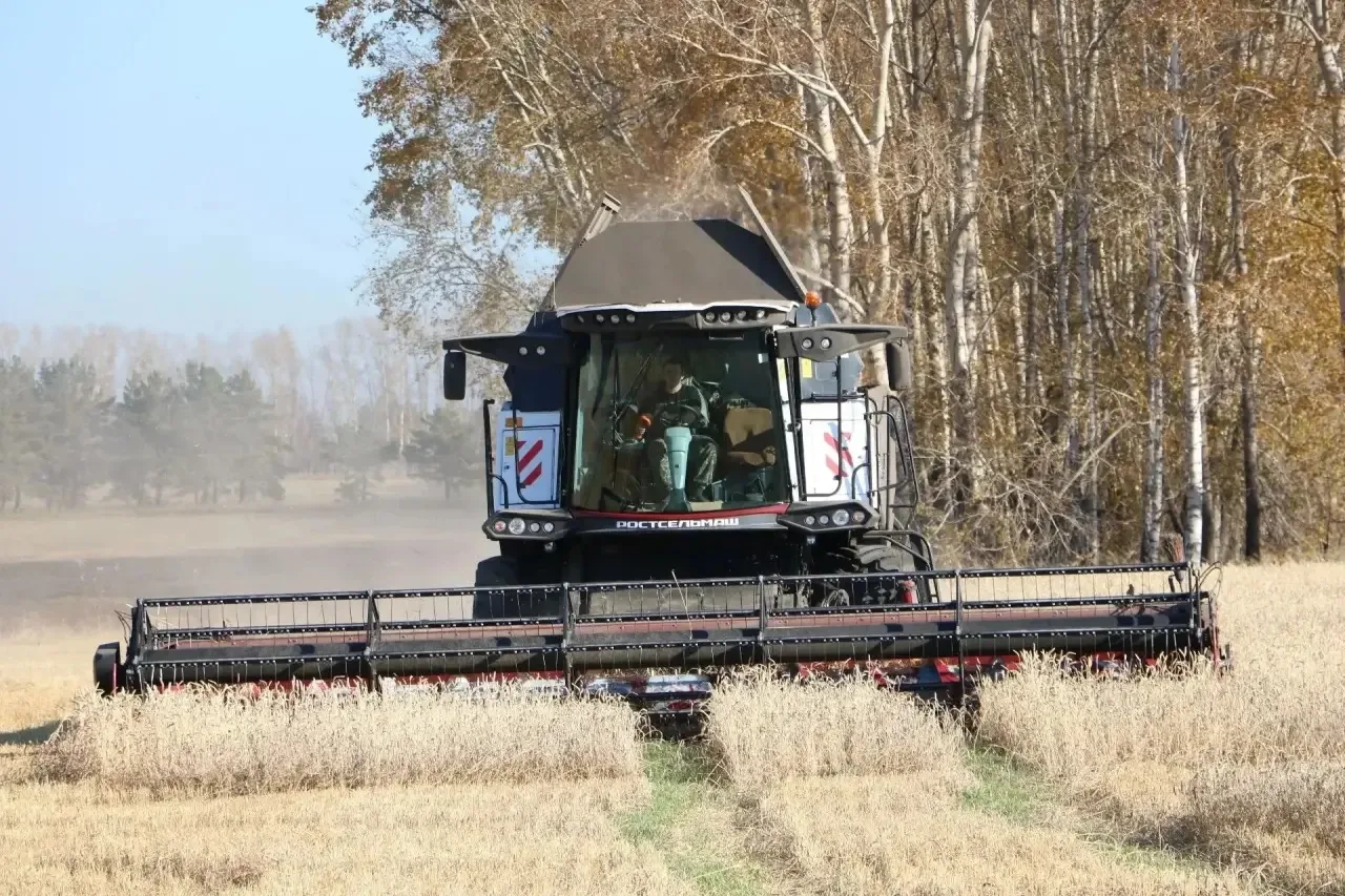 🚜 Приближается завершение уборочной кампании в Беловском муниципальном округе— и я хоч...