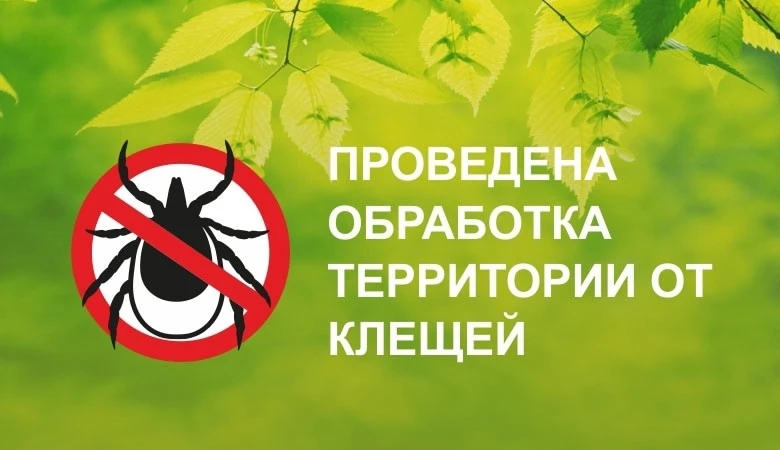 ‼Внимание, родители‼