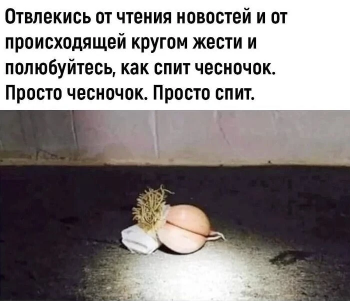 Доброе утро, Новосибирск! ☀️