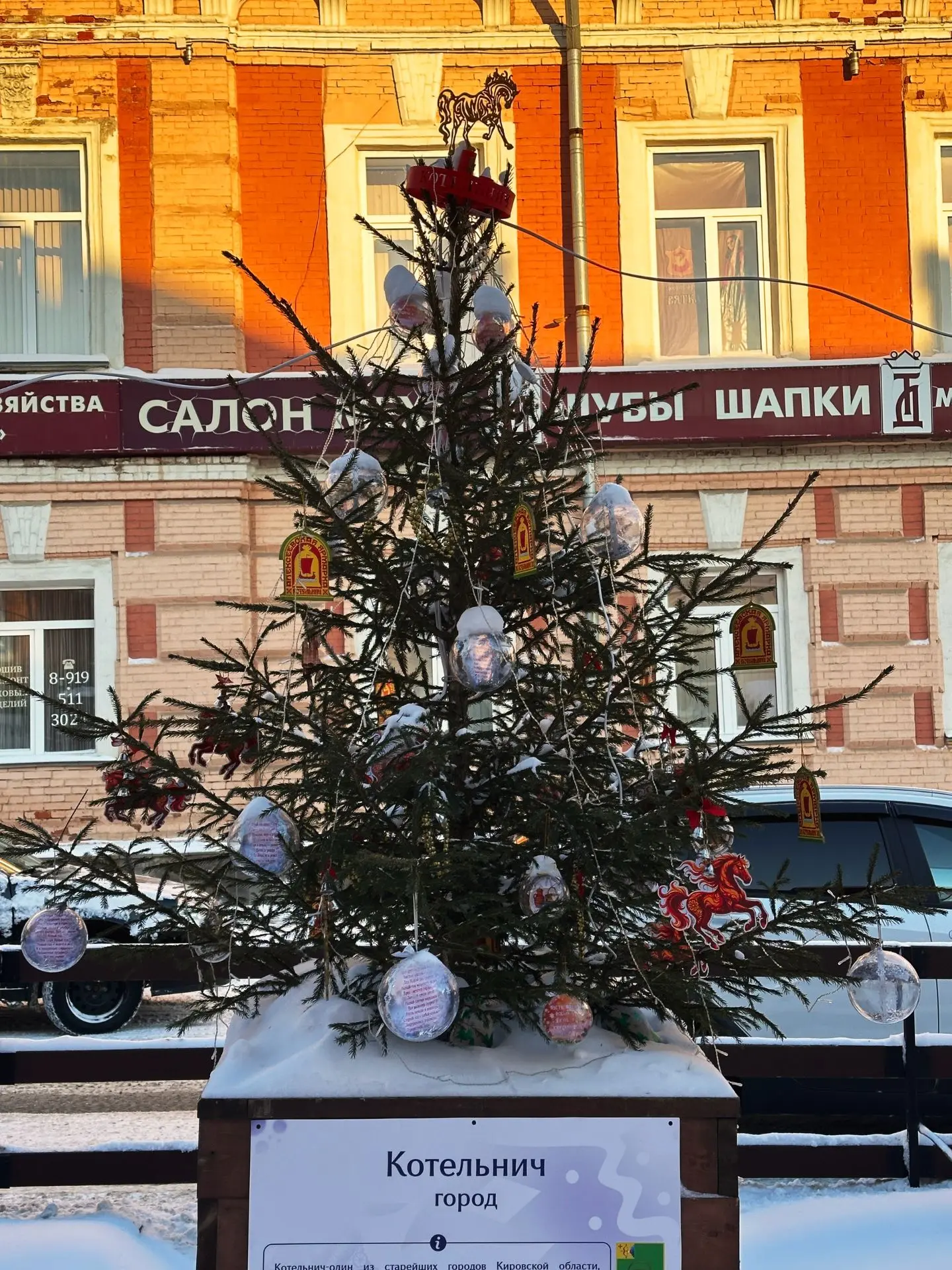 Поддержите ёлку от города Котельнича!