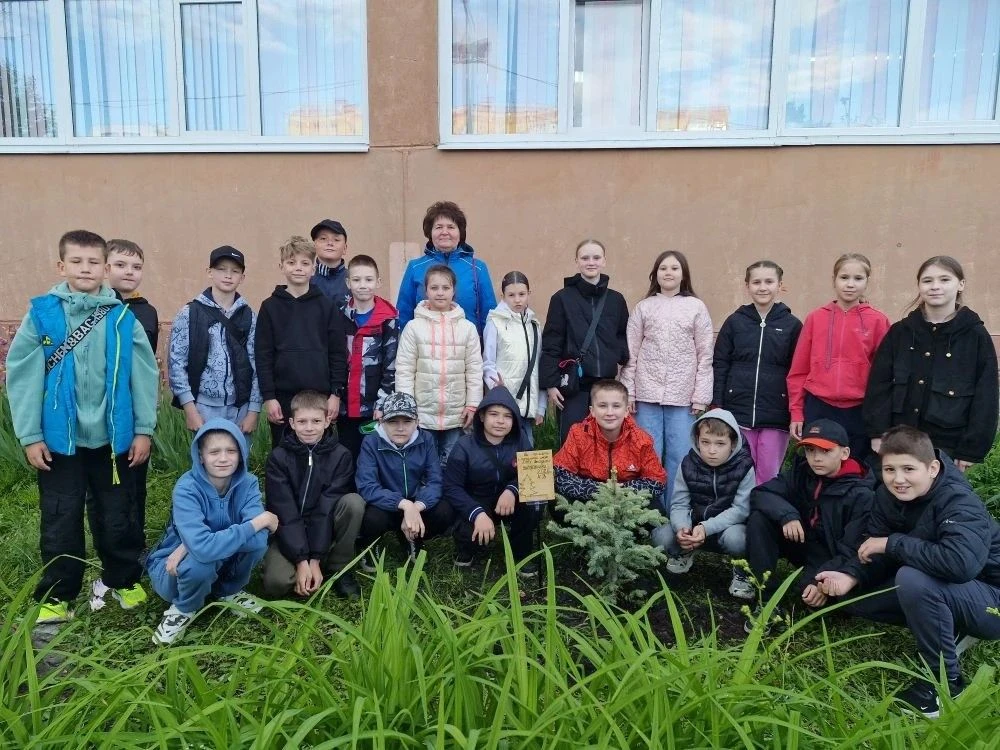 🌳 🌟 Символ новой главы: выпускники 4 «Б» класса посадили дерево 🌳 ⭐️.