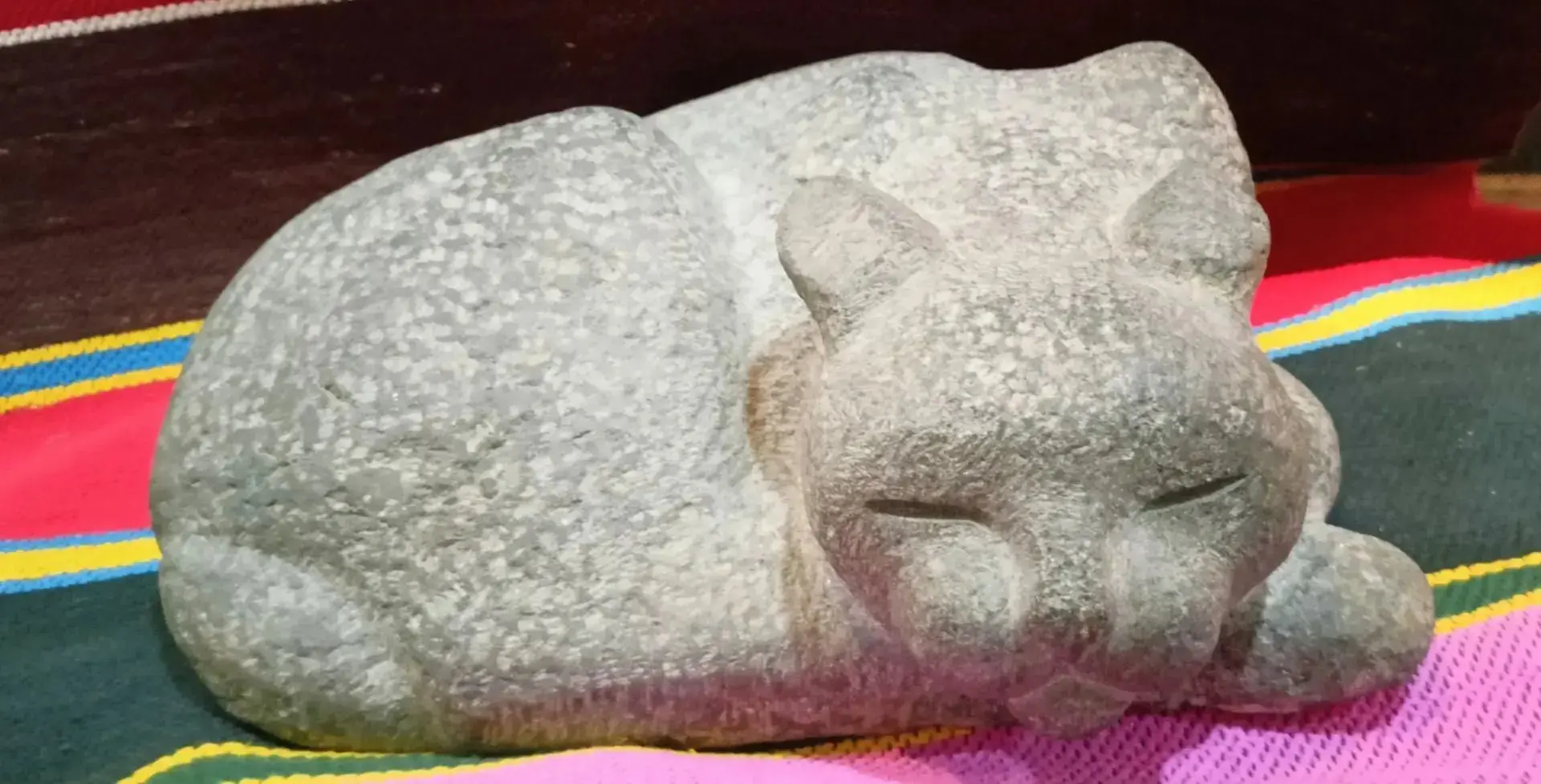 😸Объявляем конкурс на лучшую кличку для нашей музейной кошки – очаровательного экспоната выставки!

