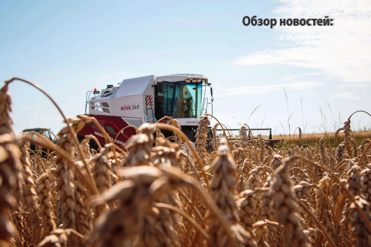 Обзор новостей за неделю 🌾