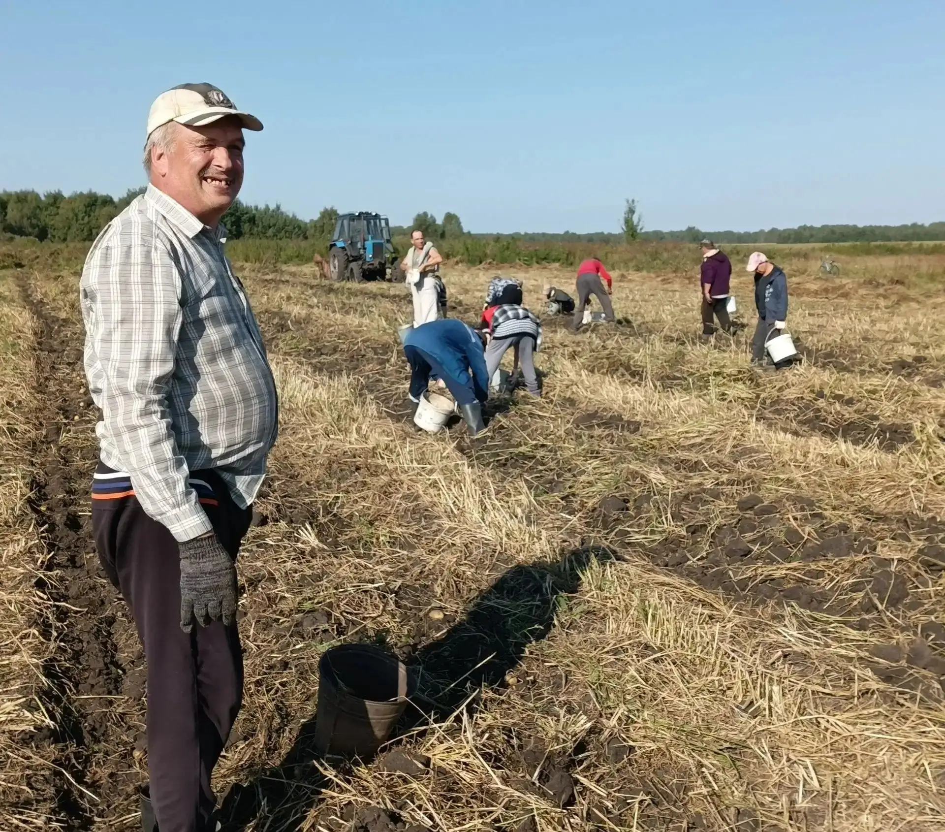 🥔✨ Сбор урожая картофеля в ГБУ "Скоблинский ПНИ"! 🚜☀️