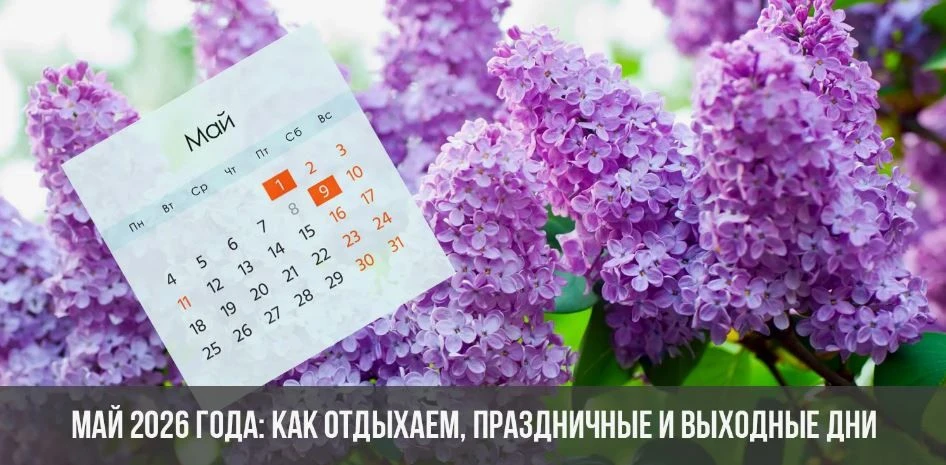Размещён график работы ветеринарных подразделений ОГБУ УИ СББЖ в мае 2026г.  1 и 9 мая ...