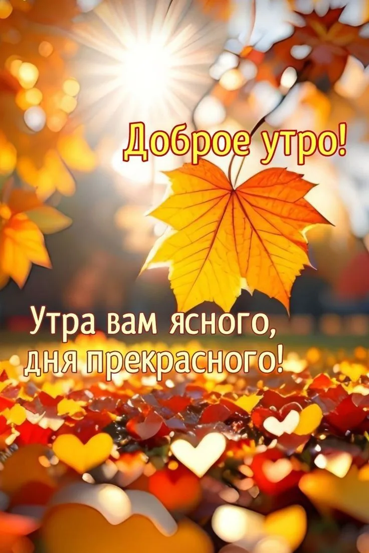💛💛💛💛