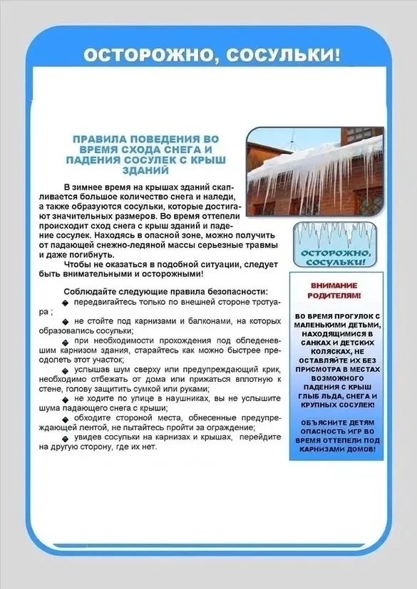 Уважаемые родители!

Весна вступает в свои права, а вместе с солнцем и капелью приходит и сезон повы