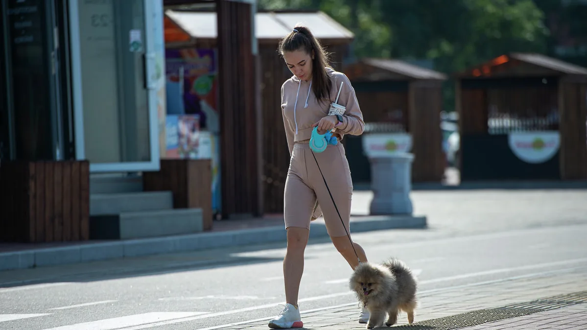 Сегодня днем в Хабаровске температура воздуха составит 19.. 21 °C. Ветер северо-западный 6 - 11 м/с.