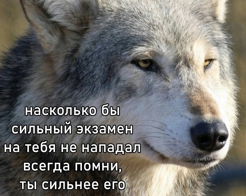 Запомни, брат.
