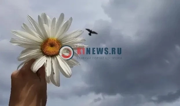 Жара — все? Именно это сулит костромичам синоптик Леус 

Подробнее здесь 
https://k1news.ru/news/845