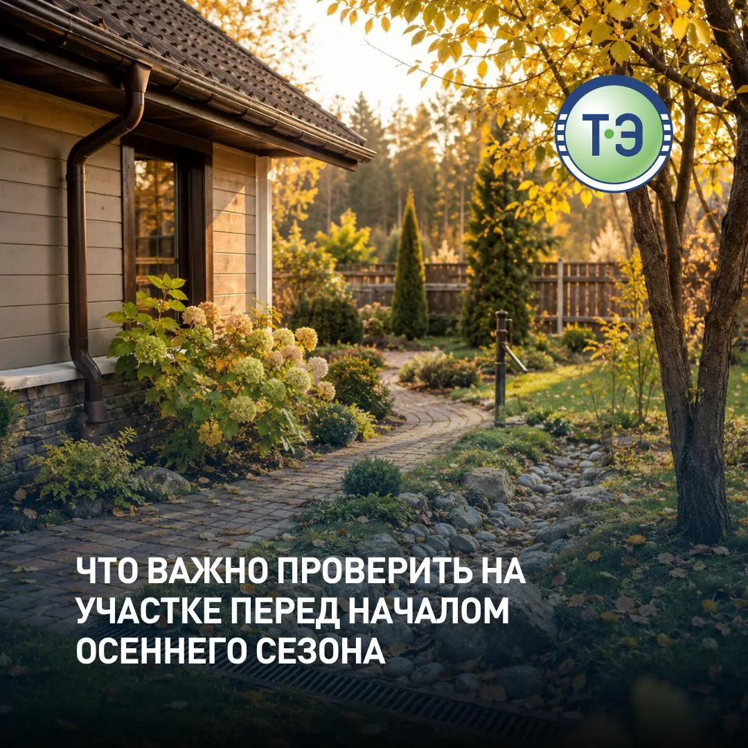 Что важно проверить на участке перед началом осеннего сезона 🍂