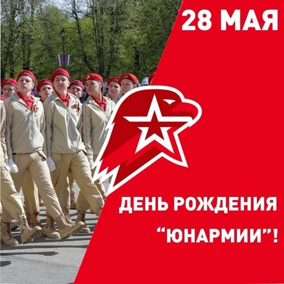 День рождения Всероссийского детско-юношеского военно-патриотического общественного дви...