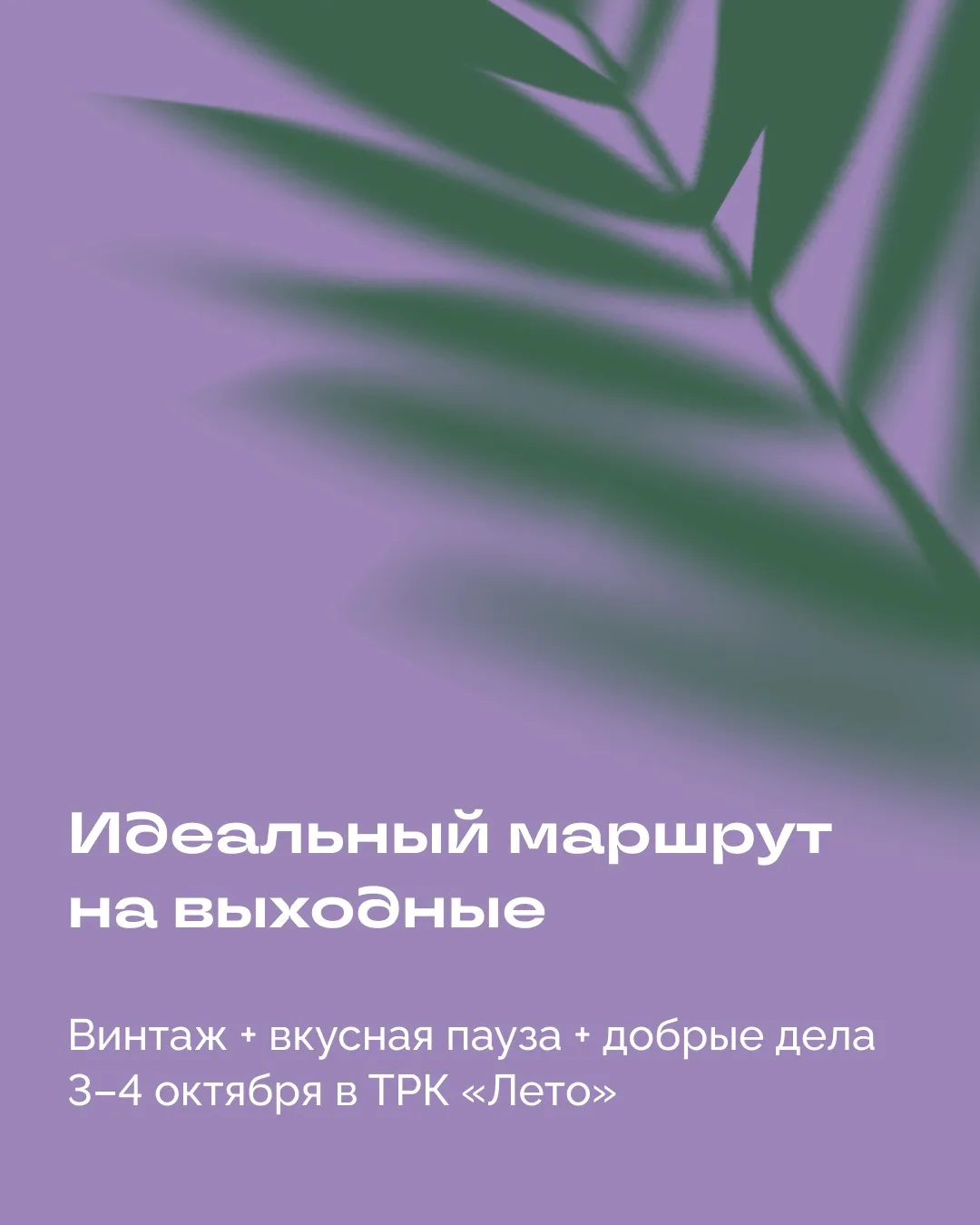 План на 3–4 октября: винтаж, книги и любимые вкусы 🛍️