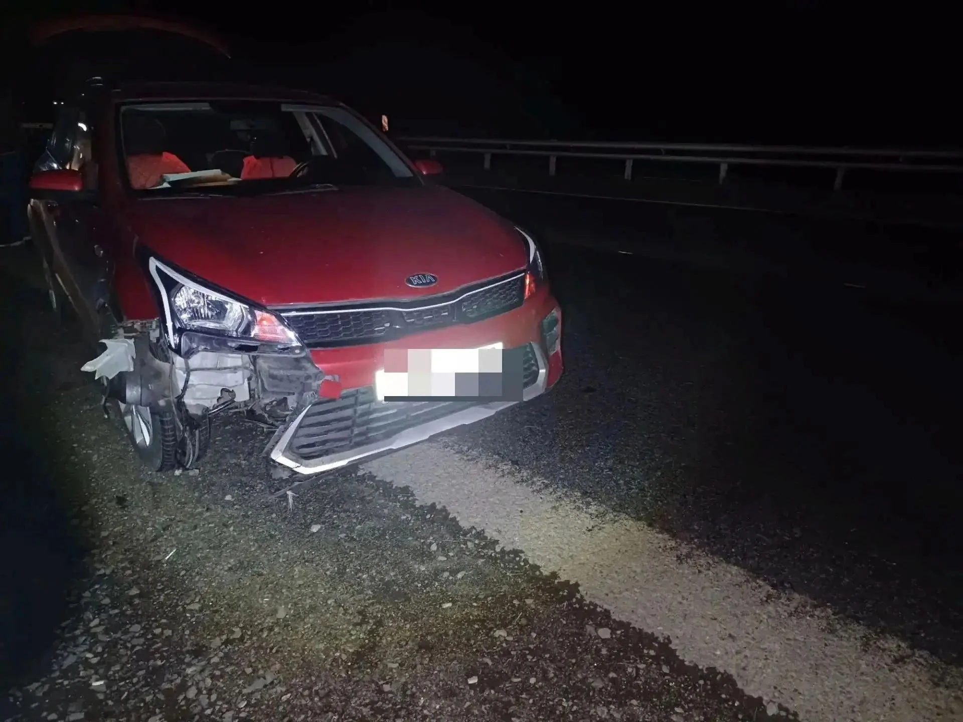 Водитель Kia Rio насмерть сбил лося на трассе «Кемерово – Новокузнецк»