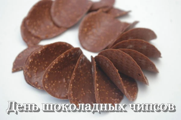Центр "Ударник" отметил День шоколадных чипсов кулинарным мастер-классом