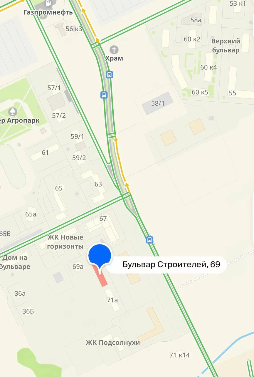 Медведь снова ходит в районе верхнего бульвара.