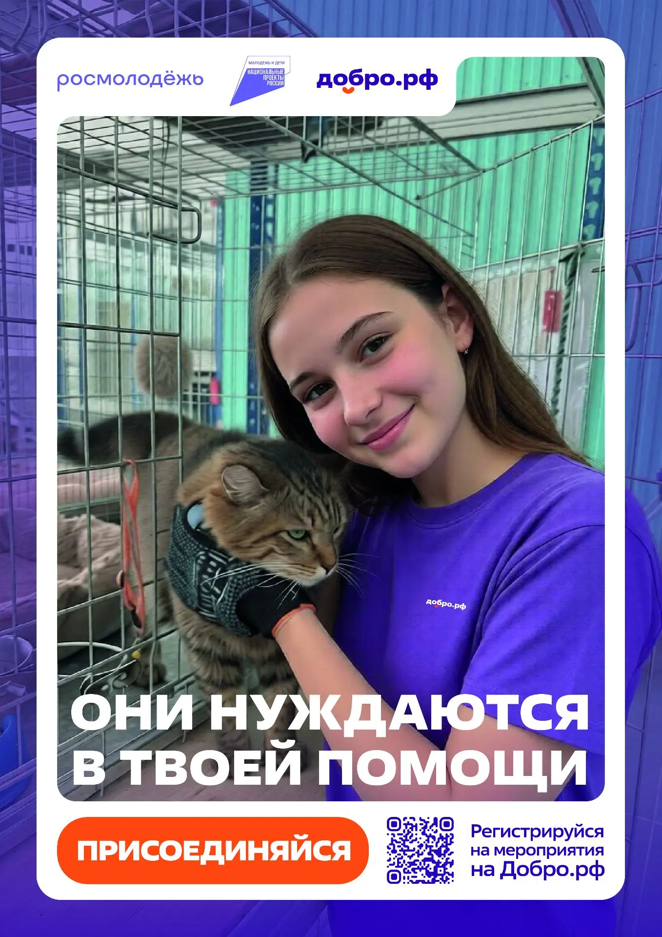 Ты нужен здесь. И они ждут именно тебя. 🤝