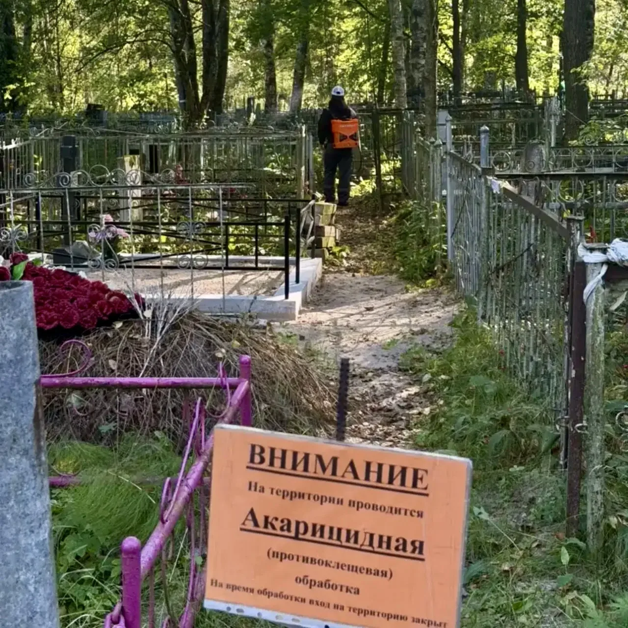 В Великом Новгороде прошла повторная обработка территорий от клещей и грызунов 🐀