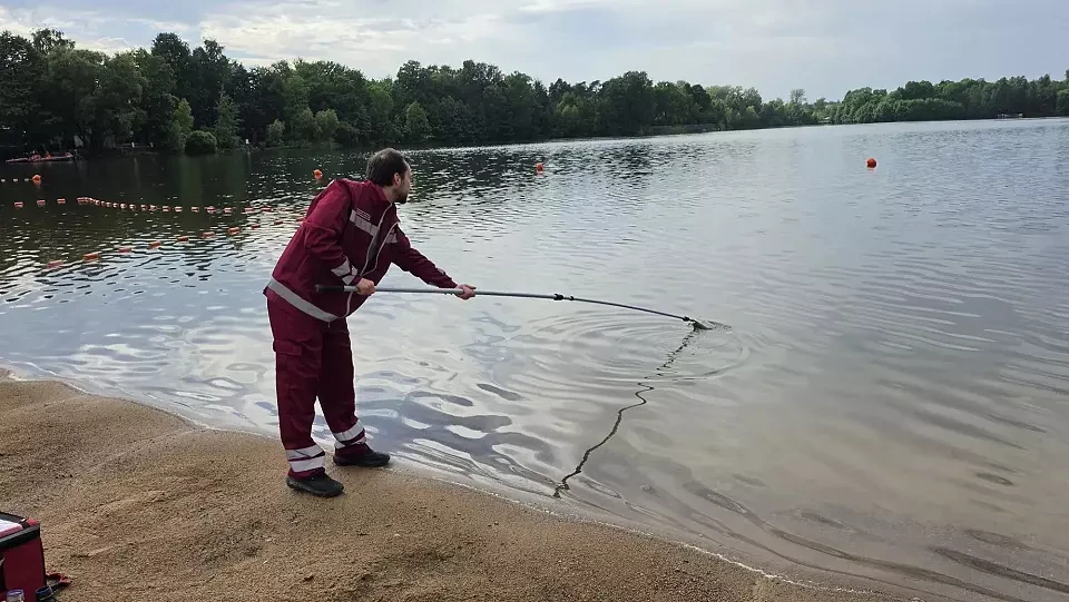 В Петербурге для купания признаны безопасными три водоема, из них там где администрация посыпала пес