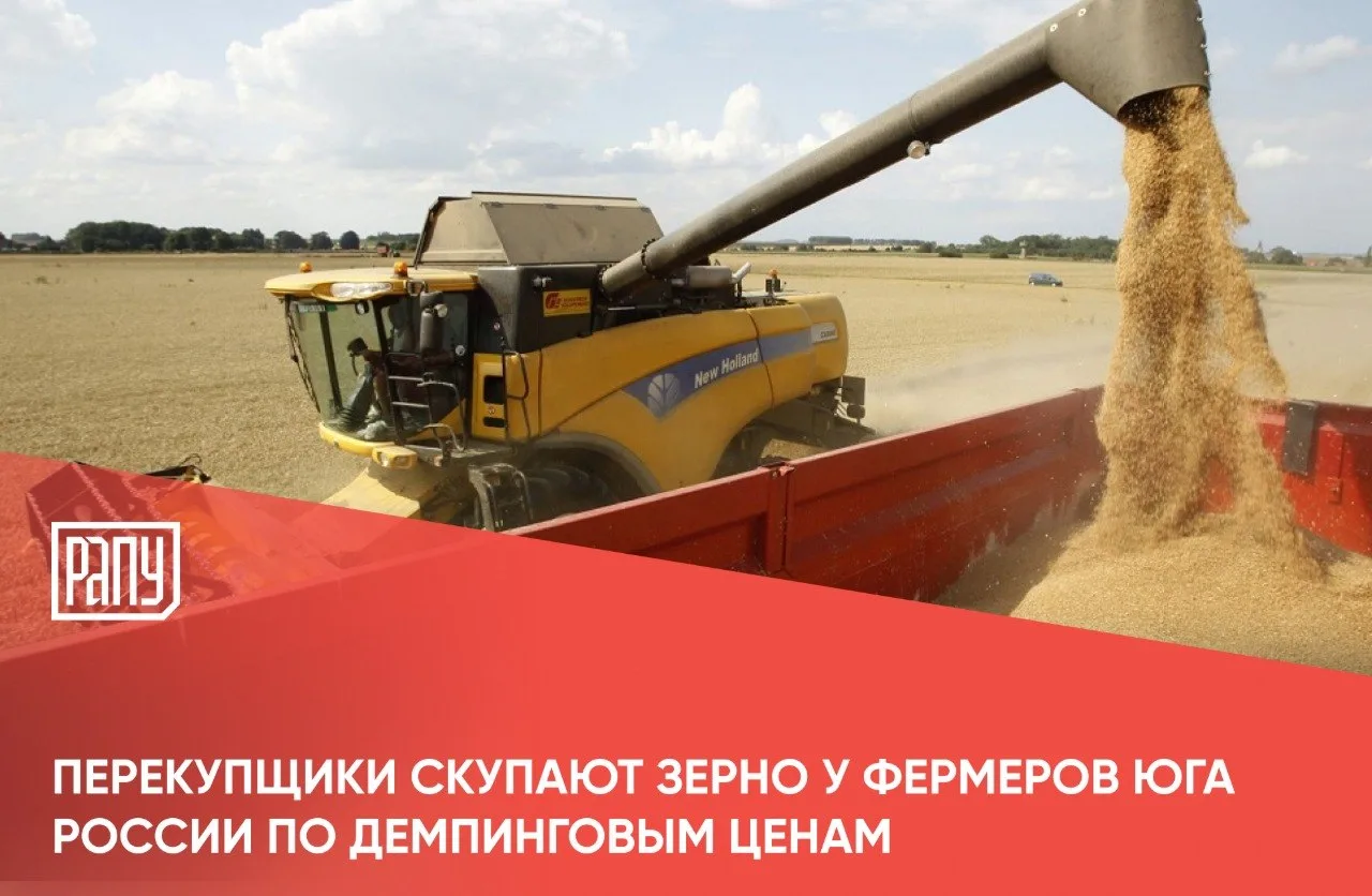 На фоне блокировки экспорта из южных портов на зерновом рынке Ростовской области и Крас...