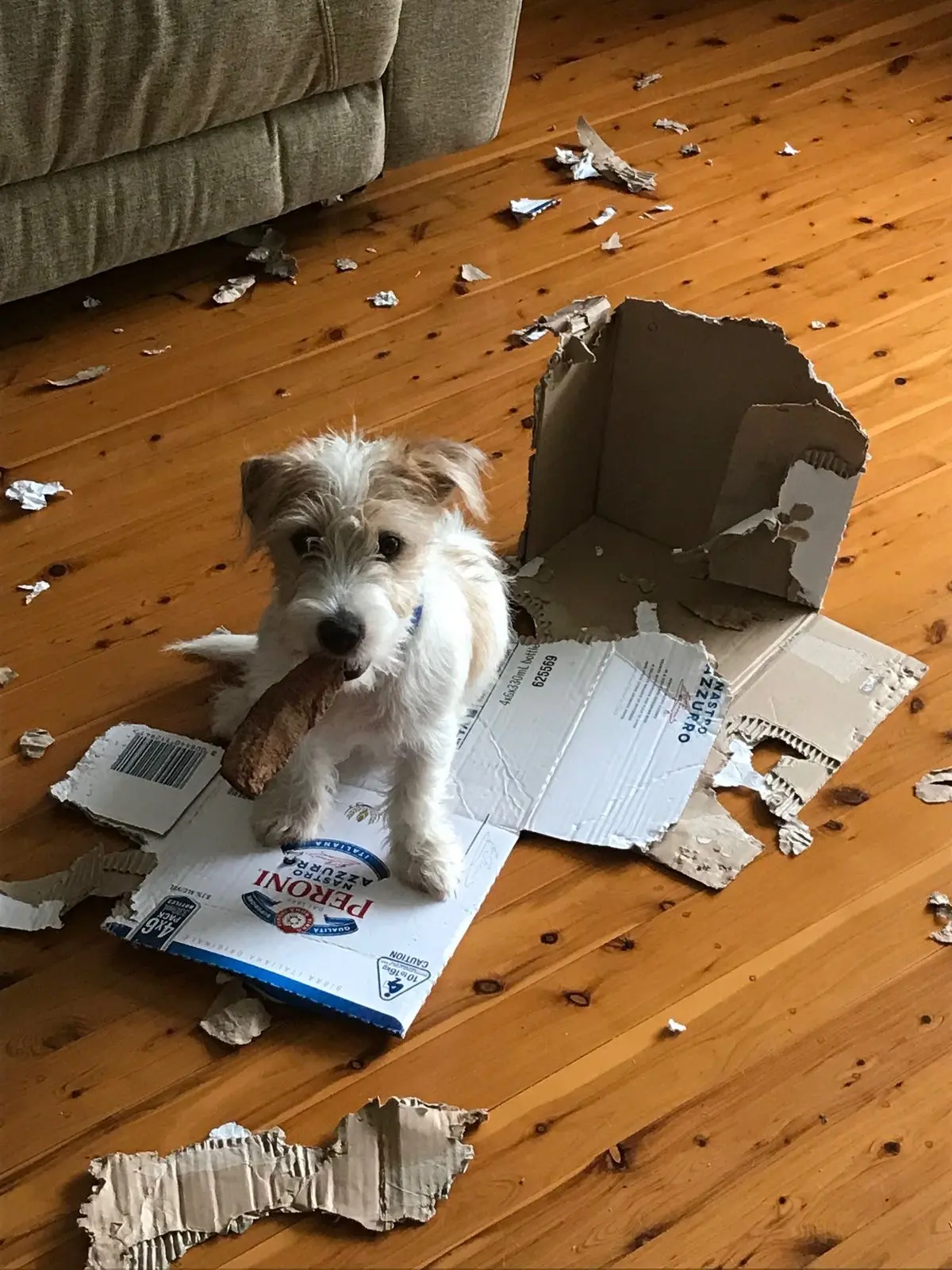 – на меня напала коробка 😃

🐶 Подписаться на Джеков.