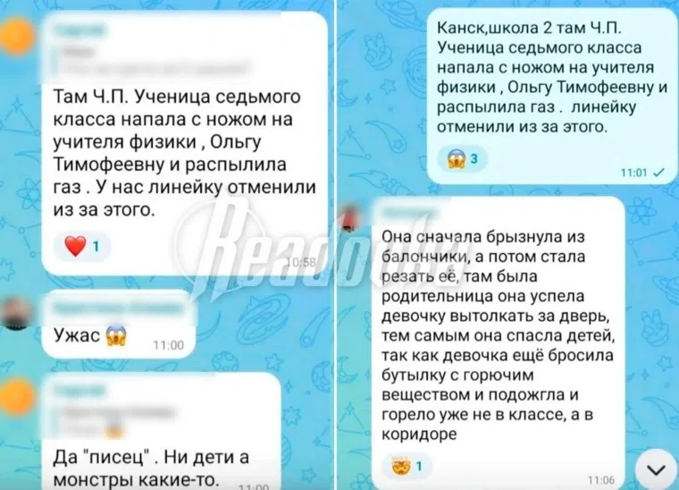 В Канске школьница напала на учителя.