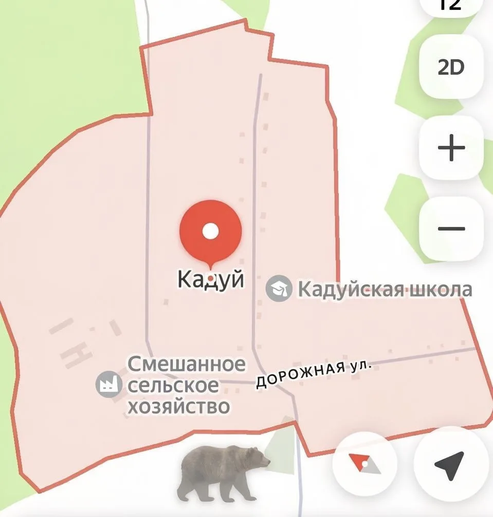 Медвежий переполох в Нижнеудинском районе: одна тревога оказалась ложной, а вторая - ре...