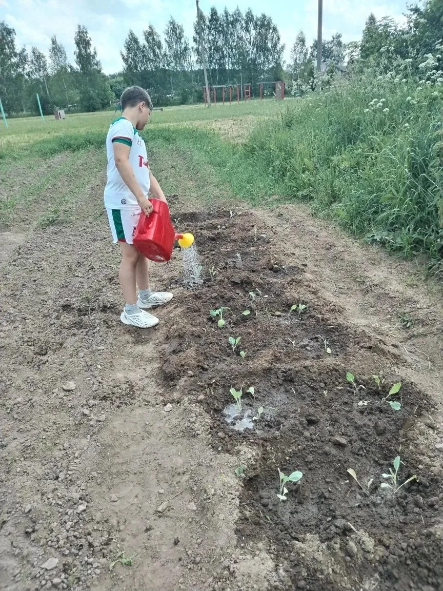 10 июня воспитанники летнего лагеря при МБОУ «Перенская средняя школа» приняли участие в трудовом де