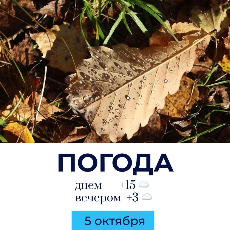 ☁️ Погода на сегодня