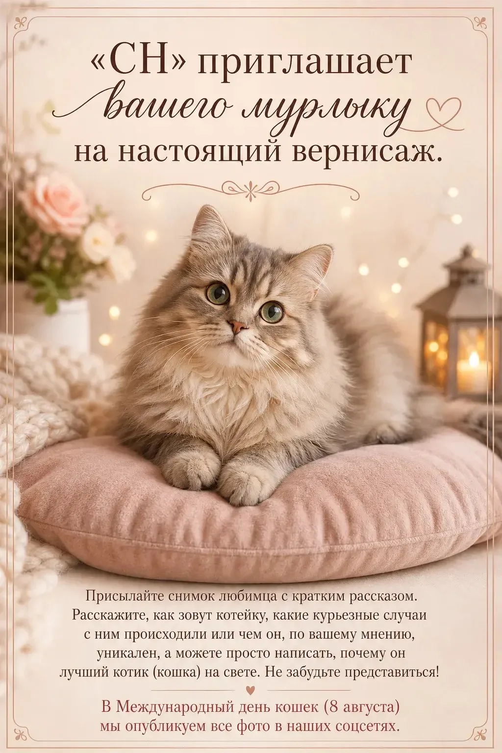 🐈 До 4 августа присылайте фото и рассказ о вашем питомце, а мы не только опубликуем его в соцсетях,