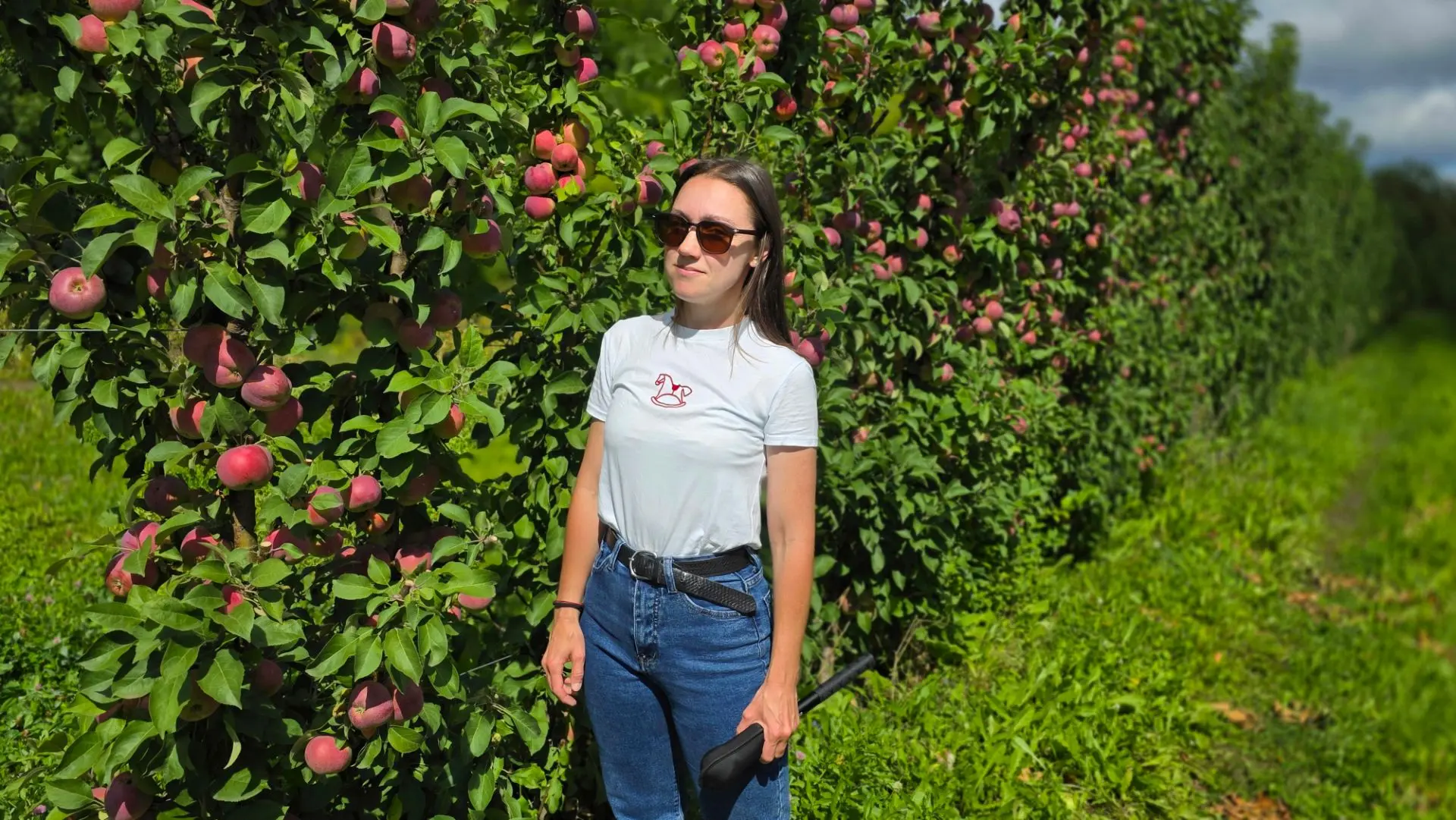 Увидела своими глазами как растут знаменитые мичуринские яблоки! 🍎