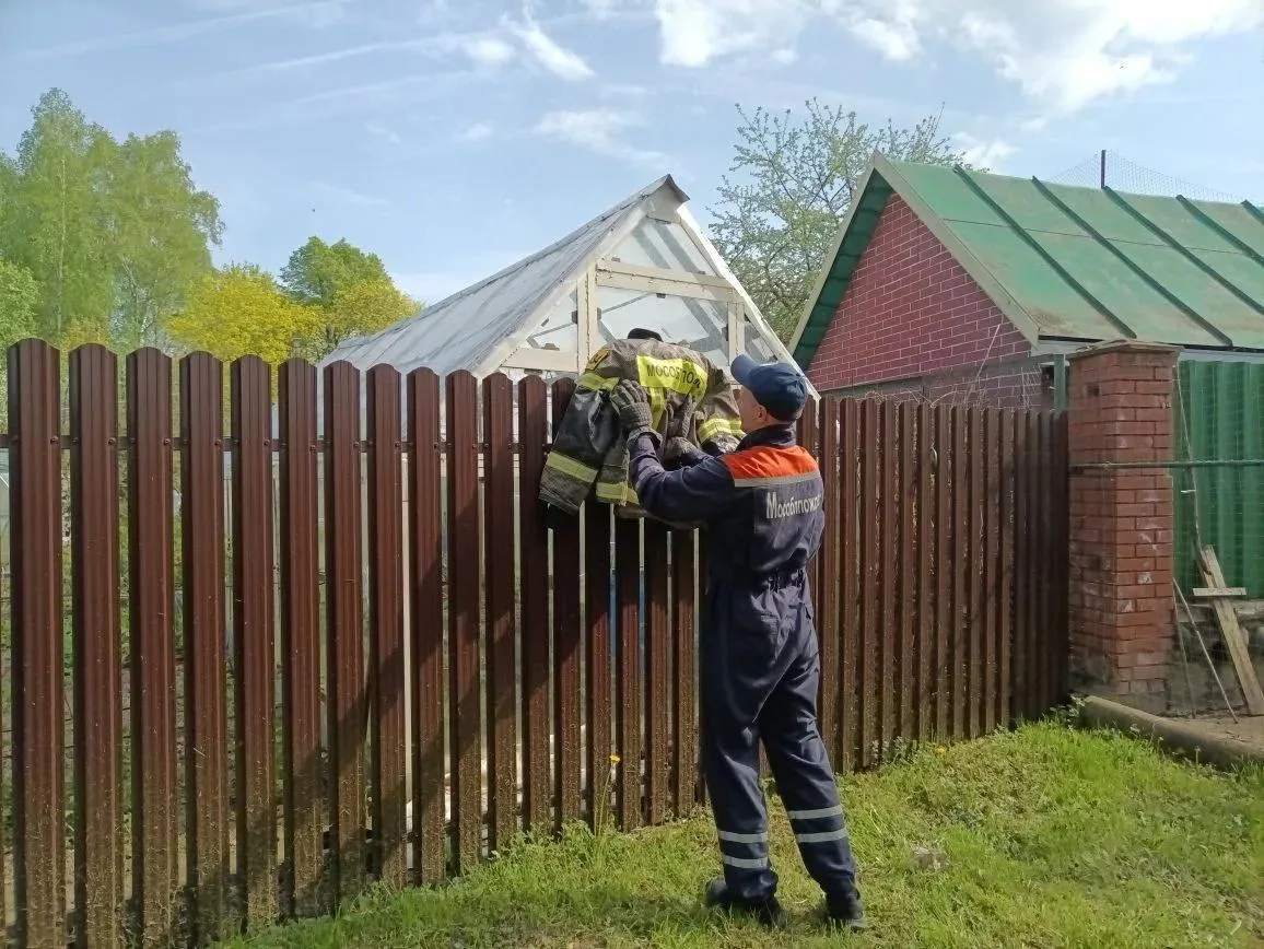 🙂 "Взяла забор в заложники"! Спасатели выручили из беды кошку 🐈  🆘 Вчера в округе #Ступино кошка уму
