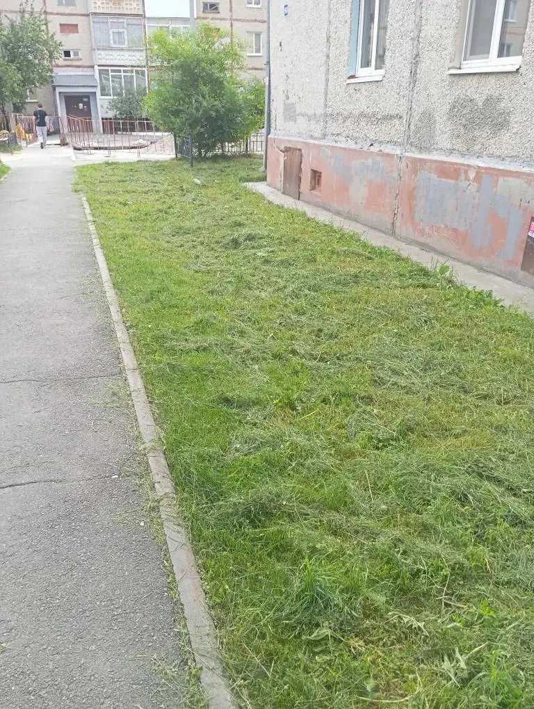 🗓️09.06.2026