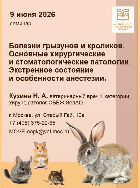 📌 Уважаемые коллеги!
